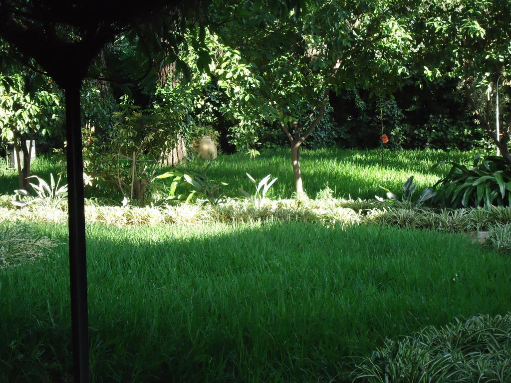 B&B Cottage Dei Consoli Sant'Agata Li Battiati Ngoại thất bức ảnh